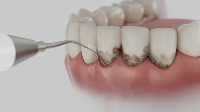 Reliable Dental contractor in Jamesburg, NJ by Dentist Open Now